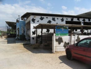 דרך%20החלב%20,%20בית%20הלל